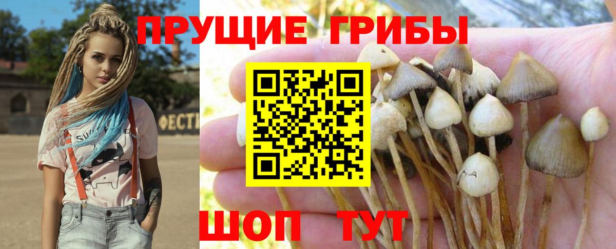 Галлюциногенные грибы мухоморы  Вход с VPN  Псилоцибиновые грибы Psilocybine cubensis  Кунгур 