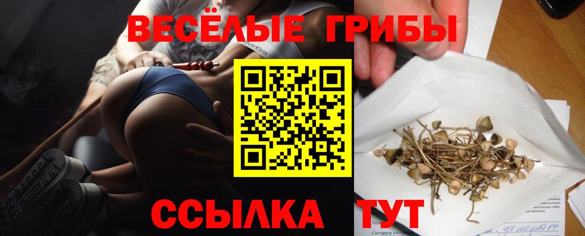 Псилоцибиновые грибы Magic Shrooms Кунгур